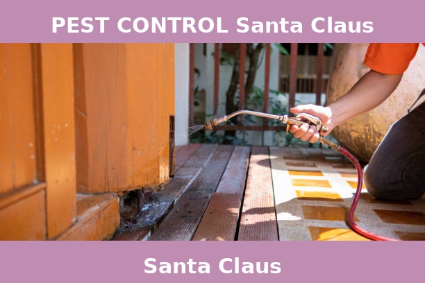 PEST CONTROL Santa Claus